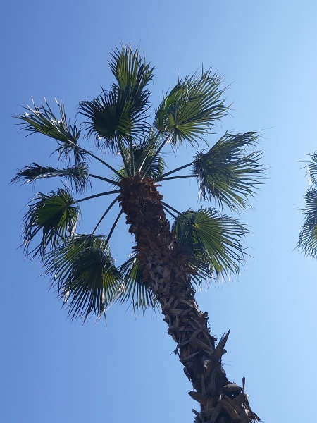 Any Witches Here?- Part 18