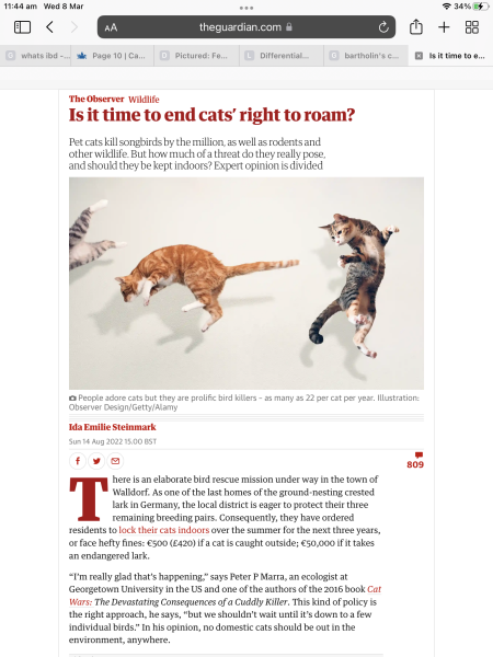 Cats banned from going outside in Australia, could it happen here?