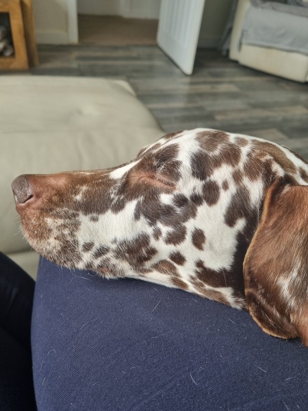 To feel guilty about my ‘secret’ day off today