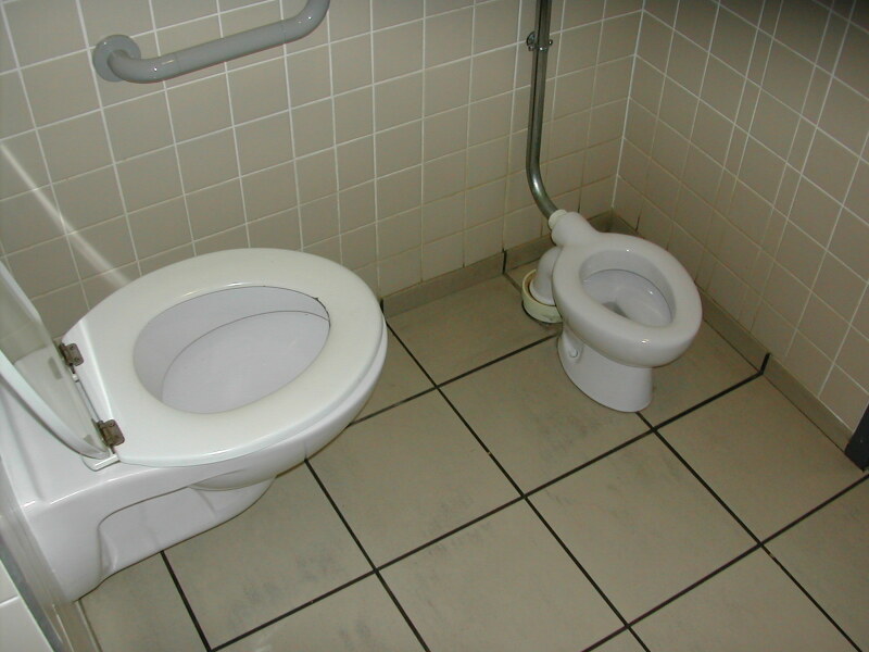 I saw a baby toilet today :) 