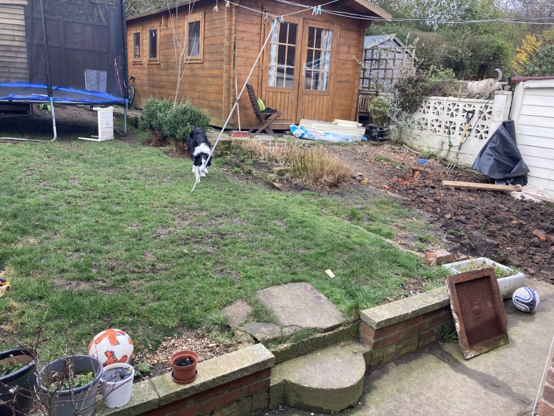 Garden layout ideas