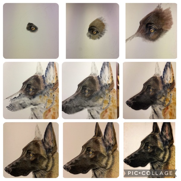 Pet portraits - what kinda price?