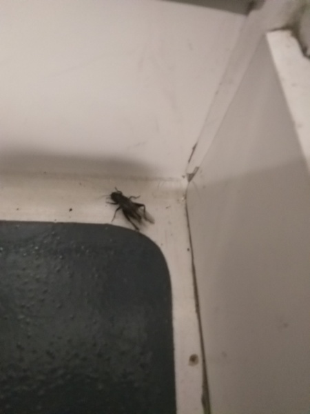 Thread 6 - TalkExiles: "Yup, still round."