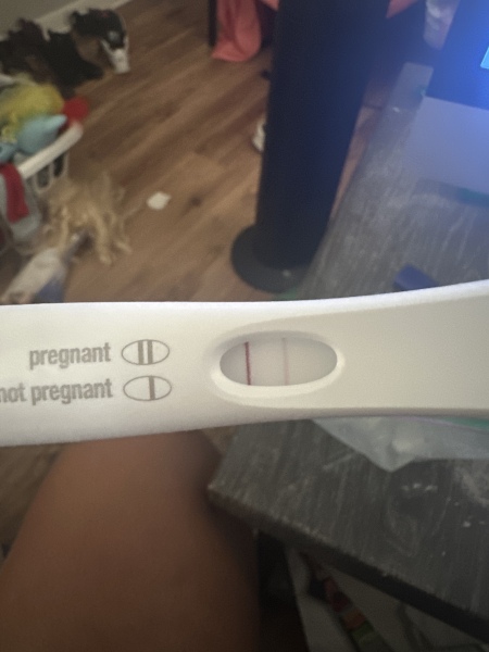 Empty ultrasound 