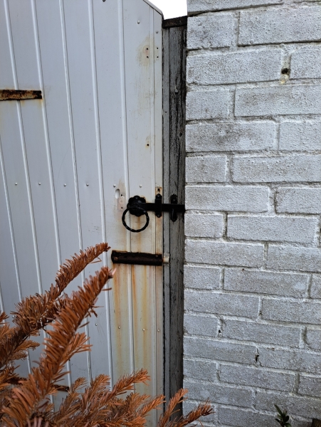 To complain about this DPD delivery person??