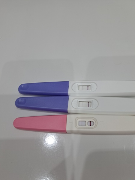Due November 2023 ✨