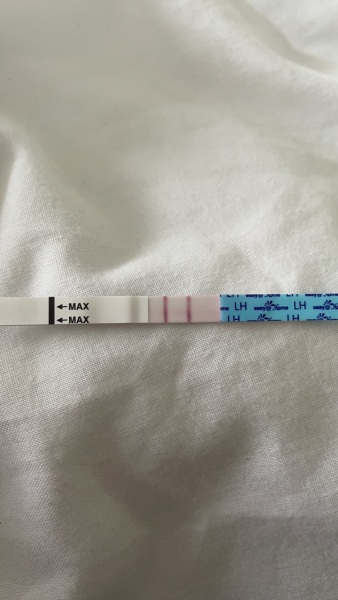 Anyone else CD13?