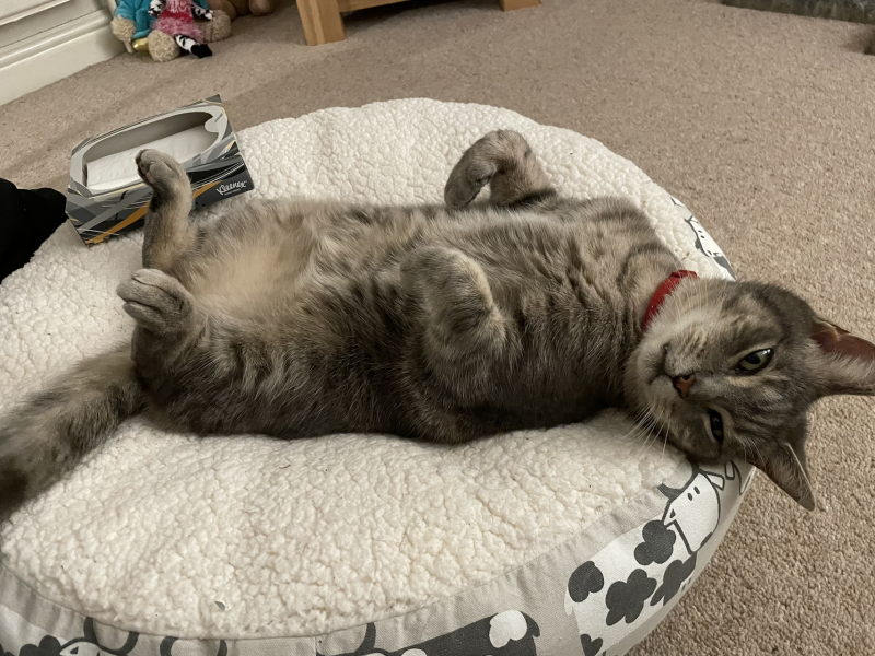 Mithril would like some sympathy please.