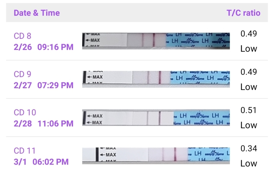 Anyone else TTC #1? Just looking for TTC buddies!