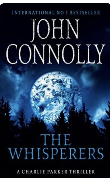 Help me find this book- frustratingly little details 