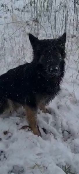 To KNOW Dcat was wrong and secretly think she should admit she was?