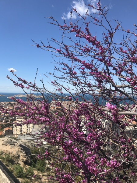 Marseille as single traveller