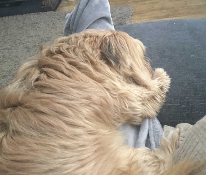 To feel guilty about my ‘secret’ day off today