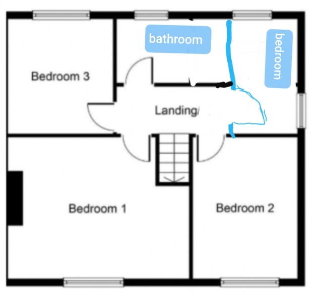 Crazy or great idea, turning bathroom into a bedroom