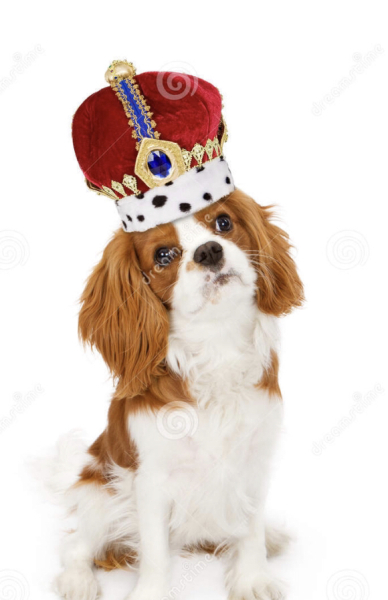 King Charles
