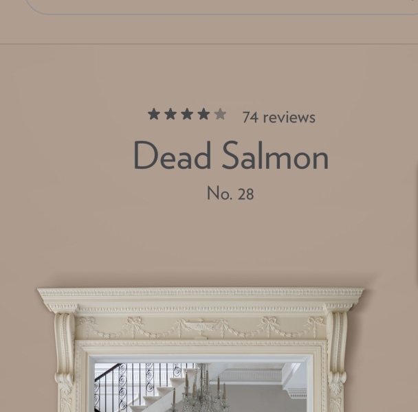 Plaster coloured paint