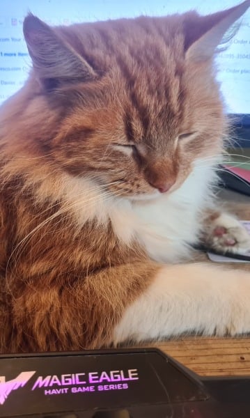 To KNOW Dcat was wrong and secretly think she should admit she was?