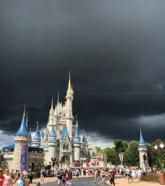 Disney world dilemma with dsc!!