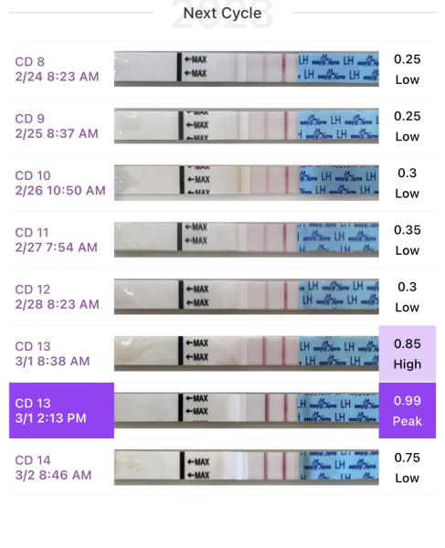 Anyone else TTC #1? Just looking for TTC buddies!