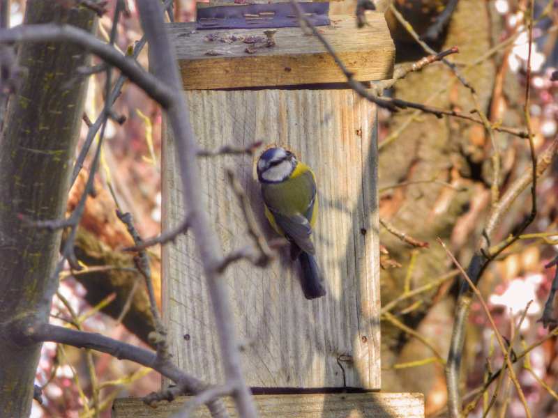 Thread 6 - TalkExiles: "Yup, still round."