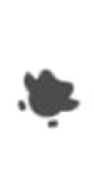 What icon is this? 