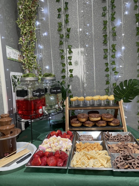 What would you pay for a similar set up for a kid's birthday party?