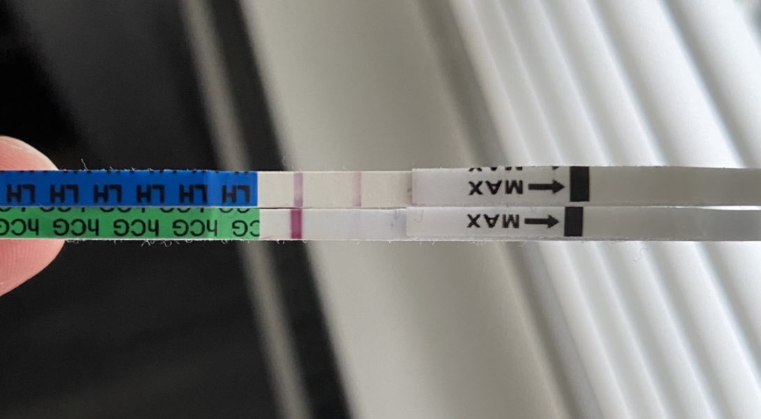 Possible bfp? 