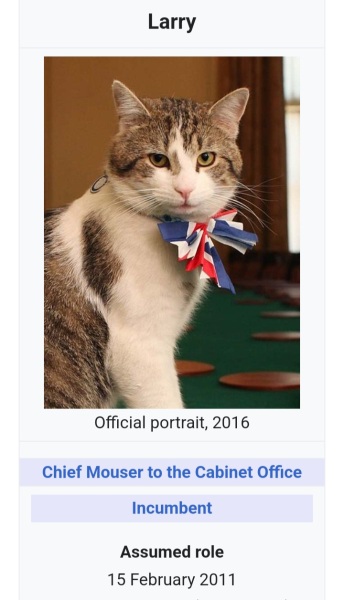 Cats banned from going outside in Australia, could it happen here?