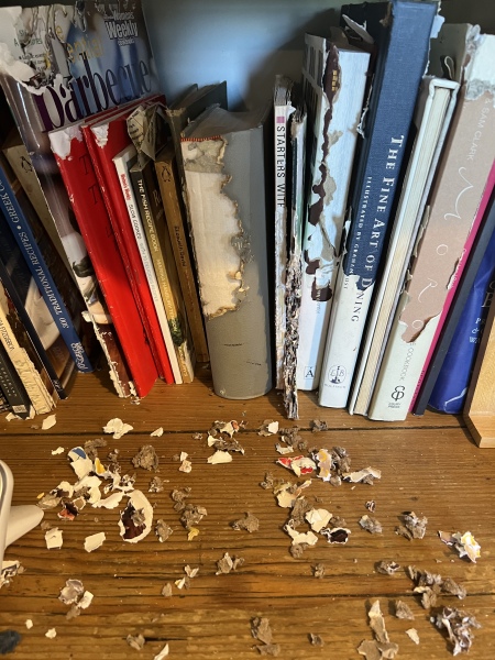 MsLatté’s Daebak Cybercafé (Kdrama addicts #40): The Filthy Noonas’ rapidly expanding flock gambol into spring with a giddiness only matched by Junkook’s drunken vlives