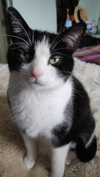 One of my boys has gone missing and I'm gutted