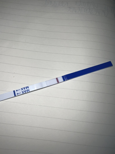 Looking for TWW buddies....