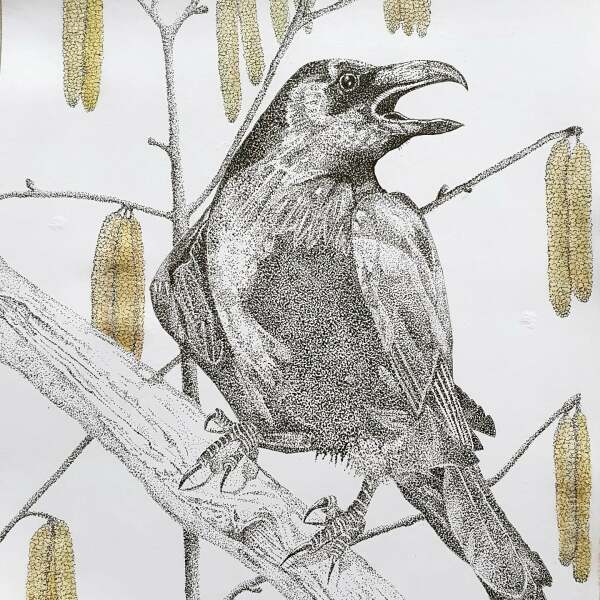 Shameless marketing - would these sell as prints or cards