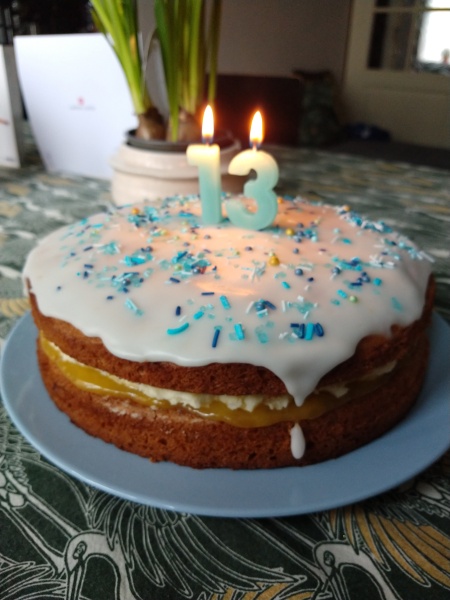 I fancy making some teatime cakes/biscuits- tell me your favourites 