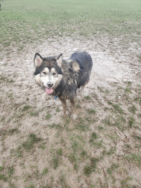 The mud. Please help me with the mud!!