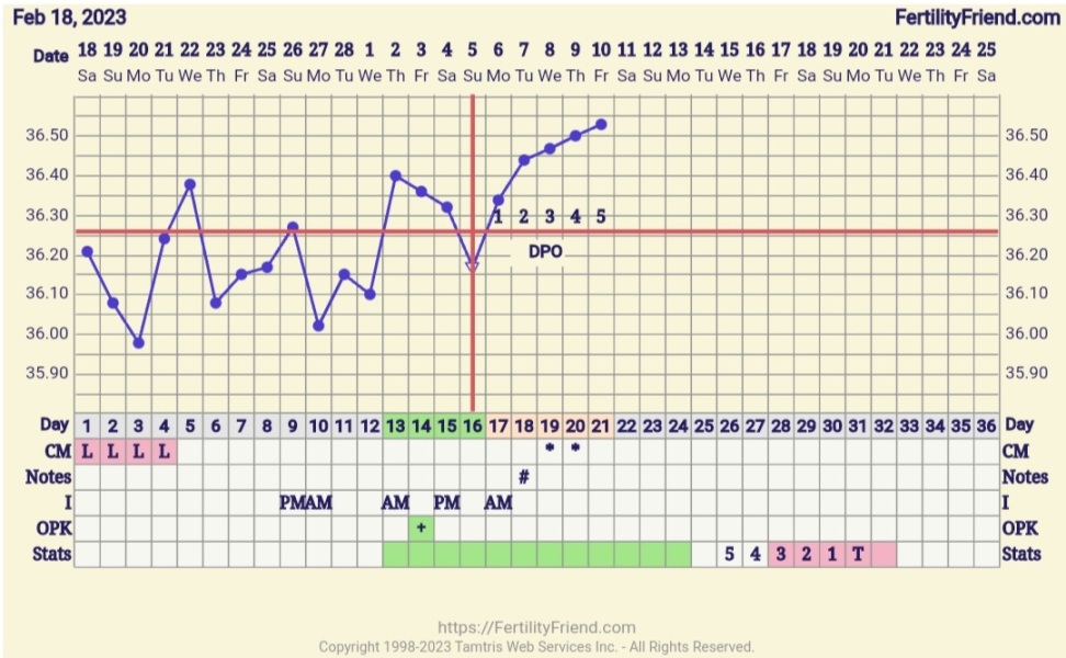 Period after hycosy....anyone?