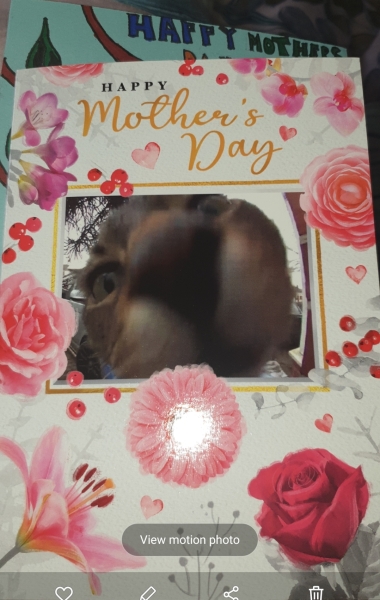 Can we see your homemade Mother's Day cards/pictures please?