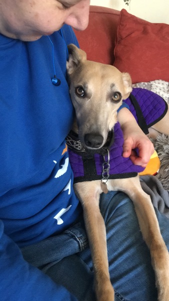 Puppy recommendations 