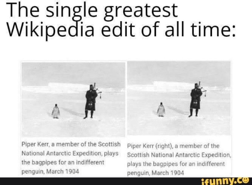 AIBU to think this man (who has undergone no transitioning) should be allow play on women's teams. Sick to my stomach this is happening.