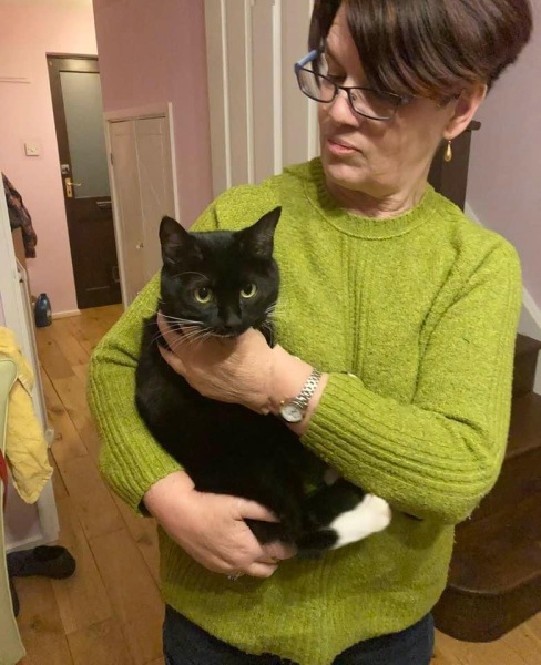 Cat Appreciation Post