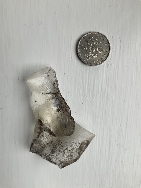 What are these odd things (photos) in my garden
