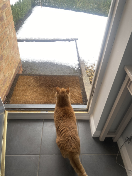 To KNOW Dcat was wrong and secretly think she should admit she was?