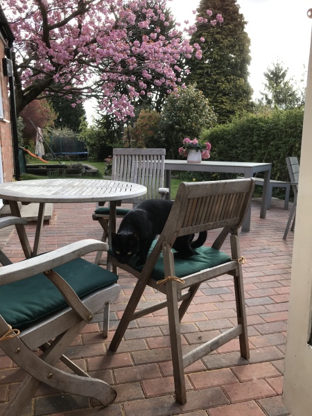 Building your own patio