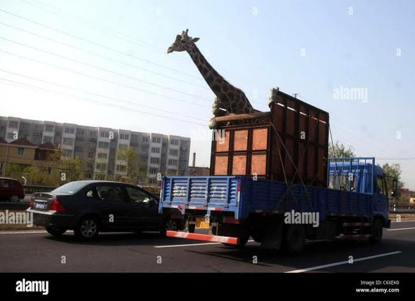 Funniest thing you’ve seen when driving?