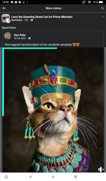 Cats used to be worshiped as Gods...