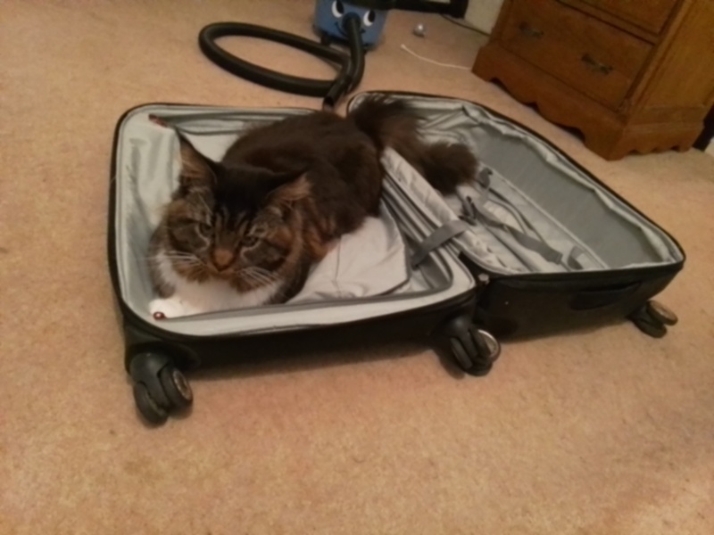 Come and tell me your dull and unexciting news 24: Calmly through the day 