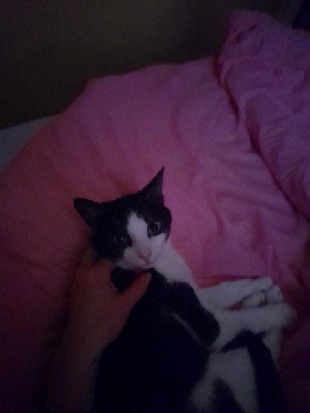 Should I reopen the happy place cafe?