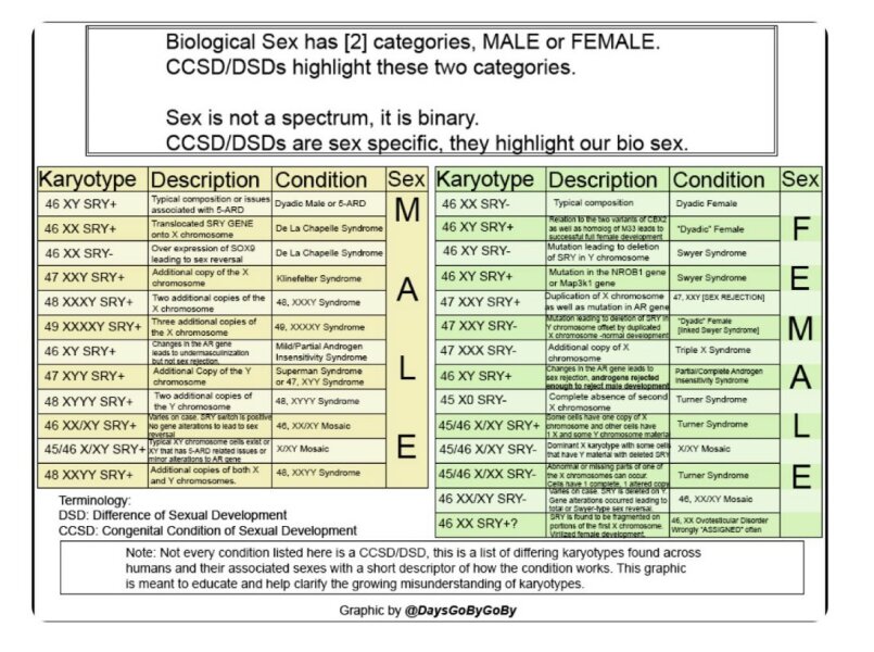 Women's rights general conversations - Thread 3