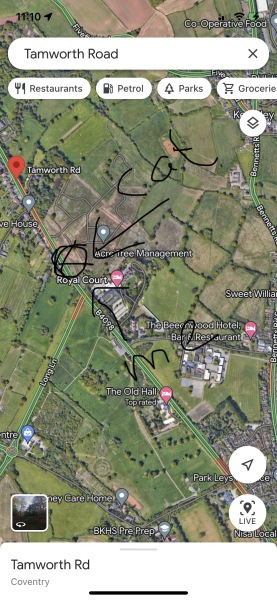 To wonder if big cats really can be roaming the countryside?