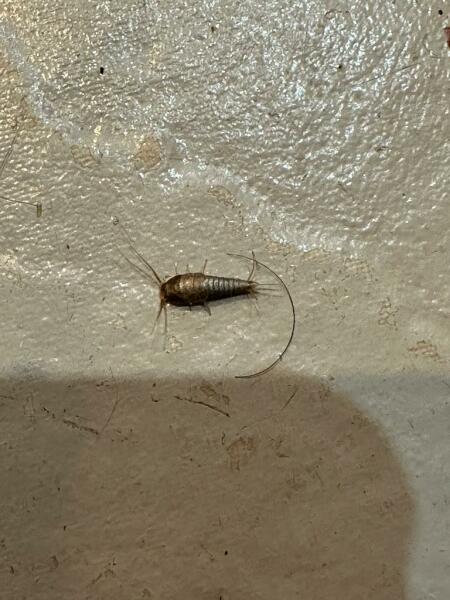 What is this?