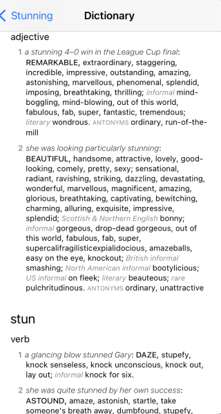 The stunning skirting boards 